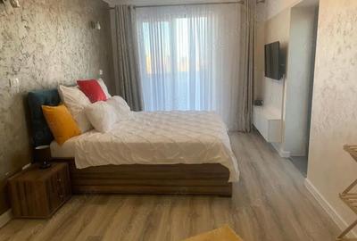Apartament cu 3 camere decomandat, mobilat în Calea București - 19