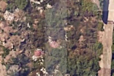 Teren de 1562 mp, în Central - 1