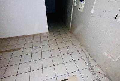 Armeneasca - Bd. Carol I stradal spatiu comercial 54 mp utili - 12