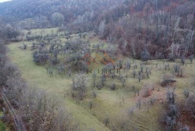 Teren 36000 m2, intravilan+partial extravilan, cadastru, Draganeasa PH - 4