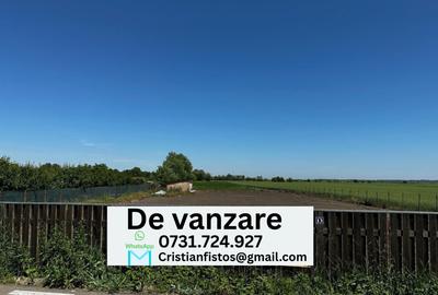 Teren de 6900 mp, în Filipești - 5