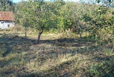 Casă cu 4 camere cu Teren 3800 Mp în Central - 4