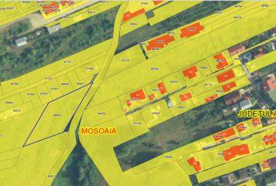 Teren strada Campului TRIVALE | 5.500 mp | iDEAL Dezvoltare - 2
