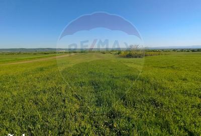Teren de 1668 mp, în Gura Râului - 2