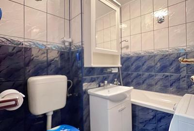 Garsoniera Titan | Parcul Constantin Brancusi - 12