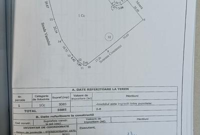 Spațiu comercial, în Movilița - 5