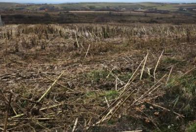 Teren de 5000 mp, în Central - 3