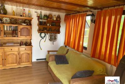 Cabana de Zona Bistra Muresului - Deda - 3