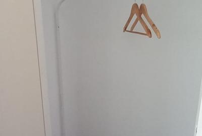 Teiul Doamnei-soseaua Colentina-2 camere de renovat - 7