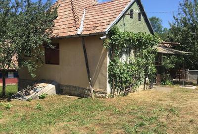 Casă cu Teren 6500 Mp în Dretea - 7