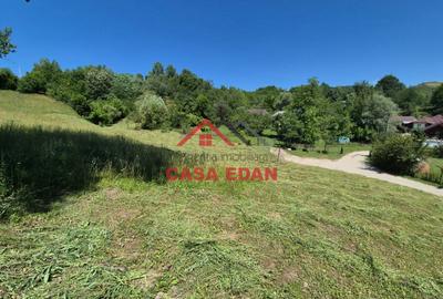 ●Teren intravilan in Breaza 4852mp 17e/mp● - 5