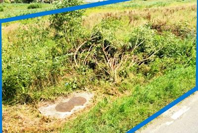 Teren de 2741 mp, în Vălișoara - 4