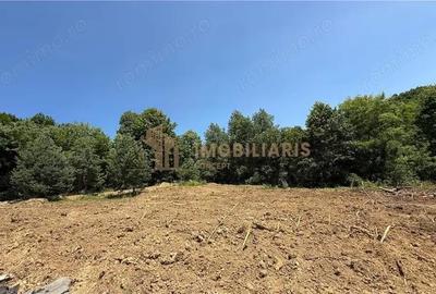 Teren de 1000 mp, în Orașul Vechi - 7