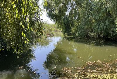 Teren Manastirea Snagov. Deschidere lac 22 m. Front stradal 30 metri. Teren Manastirea Snagov. Deschidere lac 22 m. Front stradal 30 metri. - 6