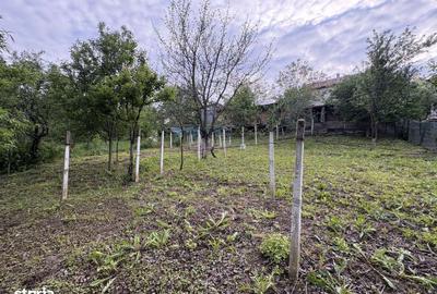 Casă cu 4 camere cu Teren 883 Mp în Târnova - 8