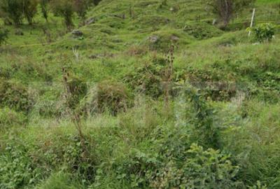 Teren intravilan 5000 mp, investi?ie intr-o zona in dezv - 1