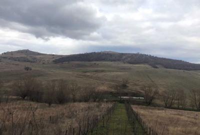 Spațiu comercial, în Sălicea - 2