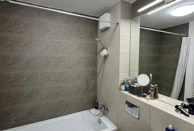 Apartament cu 3 camere decomandat în Baba Novac - 9