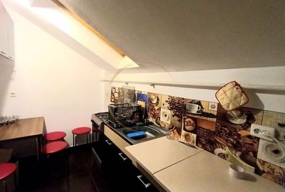 OCAZIE | Apartament 1 camere | Girocului, Timișoara - 3