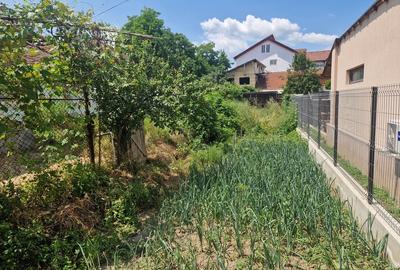 Ramnicu Valcea, Poenari - 6