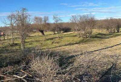 Teren de 1032 mp, în Băltenii de Jos - 9