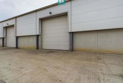 Hala industriala de 538mp Jebel, Timi? - 1