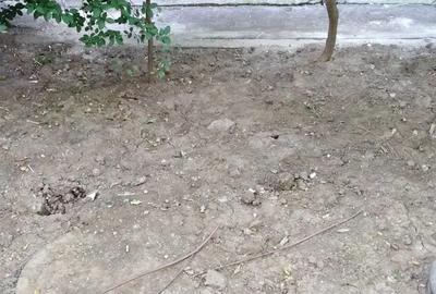 Inchiriez boxa la demisol! - 1