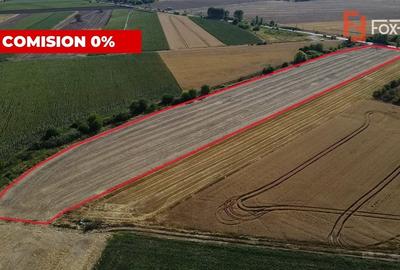 COMISION 0% Teren intravilan de 20.000 mp, front de 52 ml, zona Sag COMISION 0% Teren intravilan de 20.000 mp, front de 52 ml, zona Sag - 4