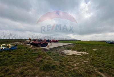 Teren agricol extravilan de 60000 mp, în Săcele - 7