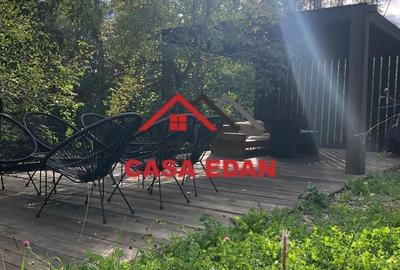 Teren extravilan de 9104 mp, în Brebu Mânăstirei - 2