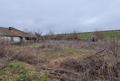 Teren de 924 mp, în Dridu - 6