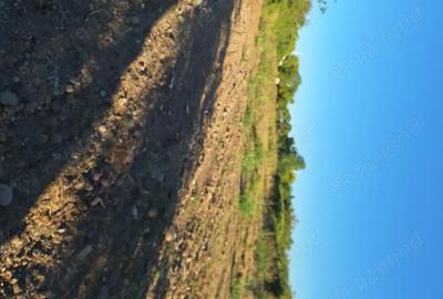 Casă cu 2 camere cu Teren 1918 Mp în Școlilor - 7