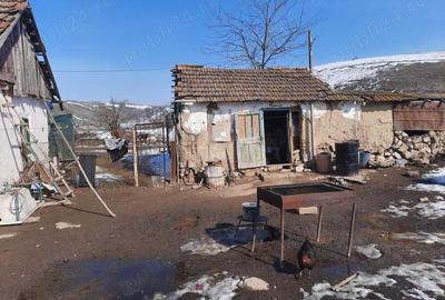 Casa de vanzare in satul ABRUD comuna ADAMCLISI - 7