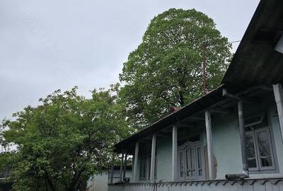 Casă cu Teren 1829 Mp în Erbiceni - 5
