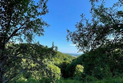 Teren de 9409 mp, în Roșia - 10