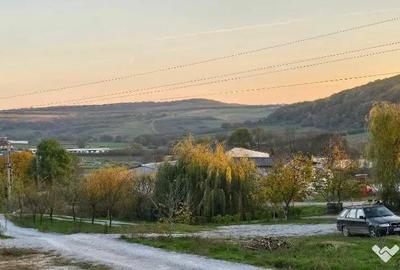 Casă cu 3 camere cu Teren 450 Mp în Nufărul - 11