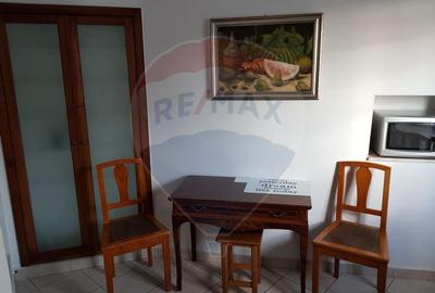 Apartament cu 3 camere de vanzare pe Str.Tribunei - 14