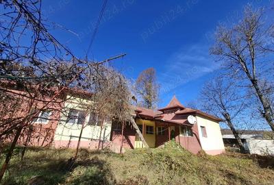 7277mp teren intravilan, la strada principala, in comuna Gole?ti, sat Blidari, jud Valcea - 19