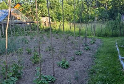 Teren de 900 mp, în Budești