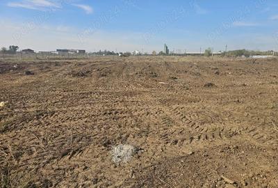 Teren de 3600 mp, în Roșu - 1