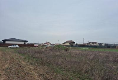 Teren Balotesti,inconjurat de padure,570mp