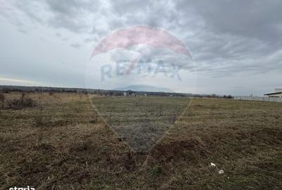 Spațiu comercial, în Fântânele