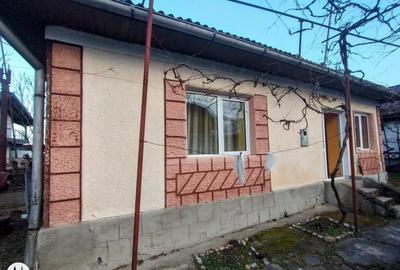 Satulung 17 km de Baia Mare, vindem gospodarie traditionala cu 26 ari - 4