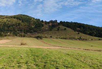 Teren de 6700 mp, în Sântămăria-Orlea - 5