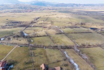 Teren Construcții intravilan de 5967 mp, în Sohodol - 16