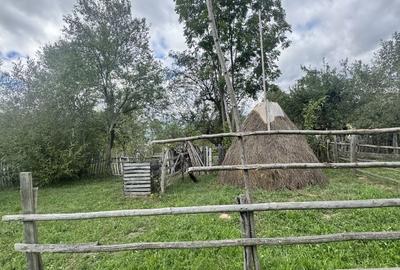 Casă cu 2 camere în Cândești - 2