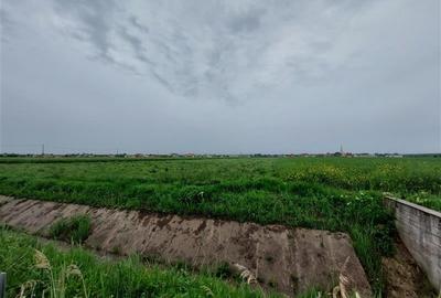 Teren intravilan in apropiere de Via Carmina, Vladimirescu - 2
