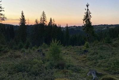 Spațiu comercial, în Măguri - 4