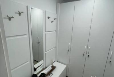 Spațiu comercial, de 66 mp, în Brazda lui Novac - 3