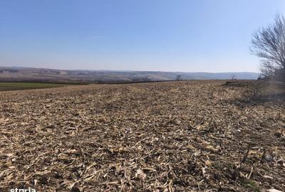 Teren de 6500 mp, în Grănicești - 1